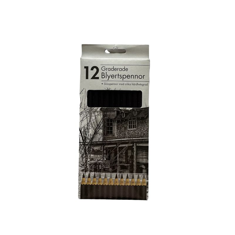 Blyanter profesjonelle 12 pk. graderte