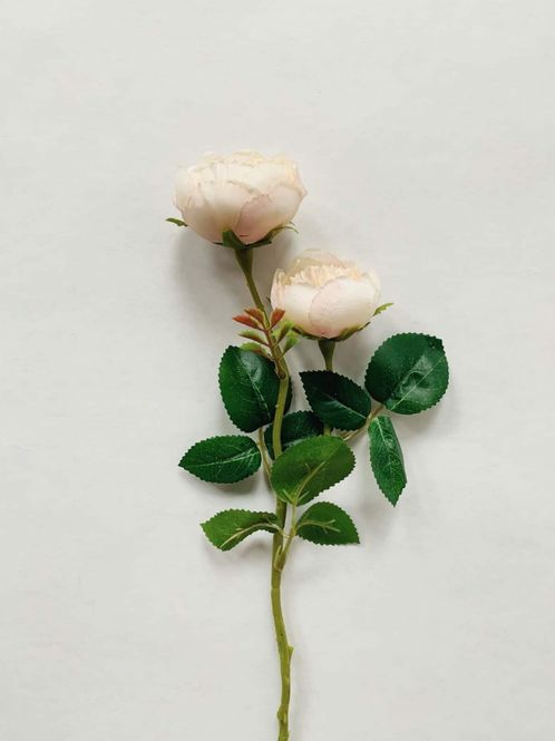 Hovedbilde Rose 46 cm Creme