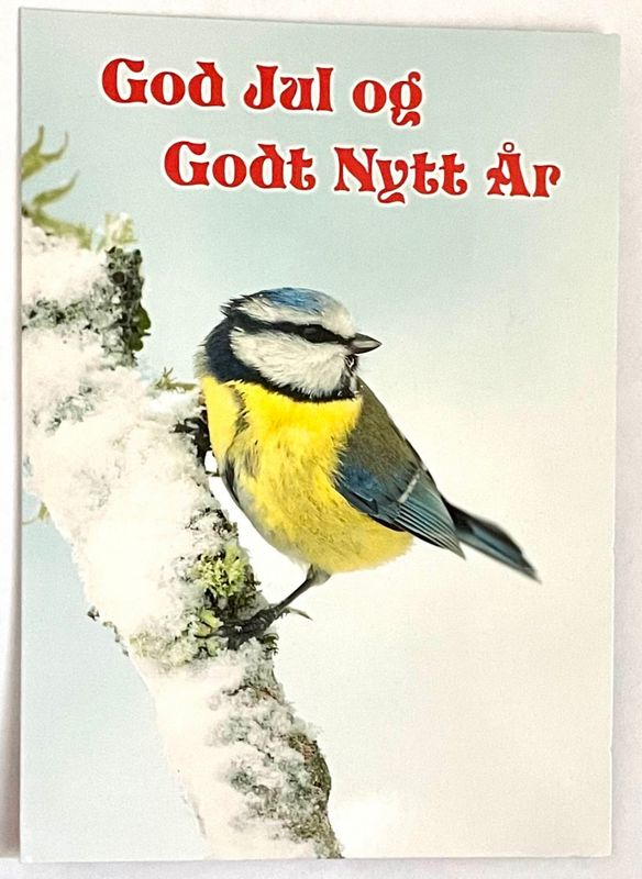 Julekort dobbelt med konvolutt